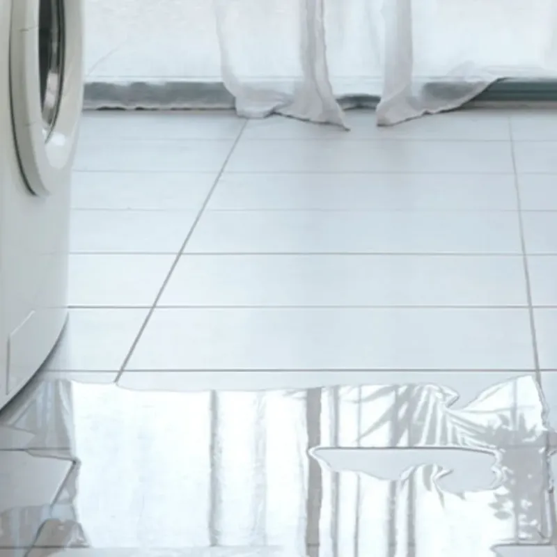 Appliance Leak Cleanup in Callahan County, TX