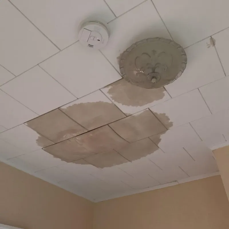 Ceiling Water Damage Repair in Callahan County, TX